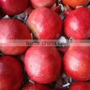 Wonderful Red Pomegranate thumbnail-1