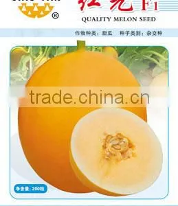 Big Fruit Hybrid Golden Yellow Sweet Melon Seeds For Cultivation-Red Light F1 thumbnail-1