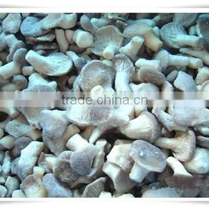 Blended Frozen Mushroom thumbnail-2