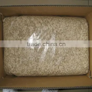 China Snow White Pumpkin Seeds 11cm 12cm 13cm thumbnail-5