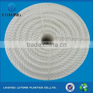 White Boundary Rope in Cricket thumbnail-1