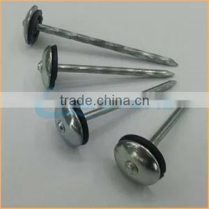 Top Quality Best Quality and Cheaper Big Head Roofing Nails Trusted Chuanghe Suppliers From Com thumbnail-1