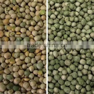 Pulses Color Sorter With High-resolution CCD Camera thumbnail-2
