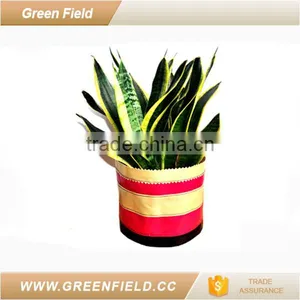 Colorful Spring Garden Pot Plant Pot Bag thumbnail-1