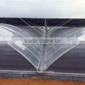 Chinese Large 10 Meters Multi-Span Plastic Film Greenhouse, Vegetables Greenhouse thumbnail-2