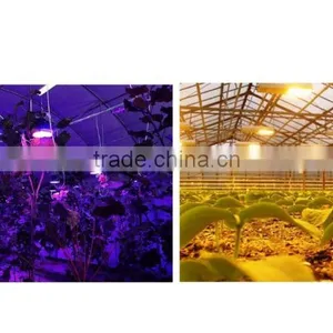 BaoLiDa pc Shed Greenhouse Hot-dip Galvanized Steel Pipe Structure for Roses thumbnail-3