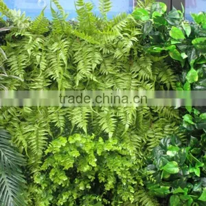 Plastic Green Wall for Living Room Decoration,mini Green Wall Interior Decoration thumbnail-5