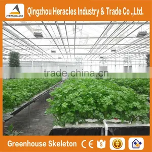 Agricultural Greenhouses For Soilless Hydroponics / Nft Systems For Tropical And Desert Areas thumbnail-4