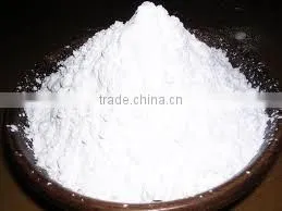 Corn Starch Manufacturer thumbnail-1