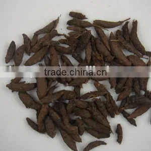 Dried Cyperus Rotundus,Nutgrass,Nutgrass Galingale Rhizome,Rhizoma Cyperi,Nutsedge,Xiang fu Zi,Xiangfu,Cyperus Root thumbnail-1