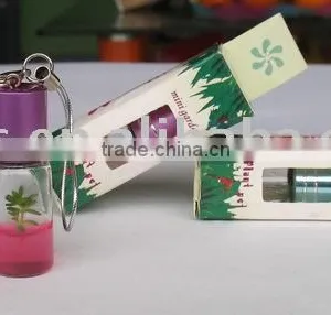 Baby Tree and Mini Plant thumbnail-1