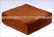 Coco Peat Potting Premium thumbnail-1