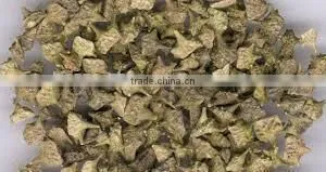 TRIBULUS TERRESTRIS thumbnail-2