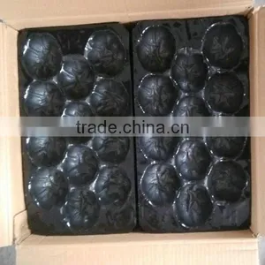 Disposable Plastic Vegetable Container thumbnail-5