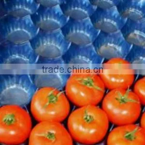 Plastic Packaging Tray With Holes Black thumbnail-1