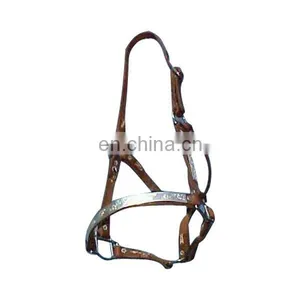 Horse Halter With Silver Fitting thumbnail-1