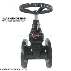 DIN3352 F4 DN80 NRS Grey Iron Flanged End Gate Valve thumbnail-1