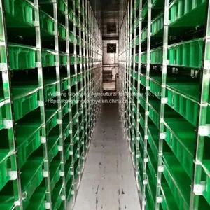 Container Type Hydroponic System Seed Germination Machine Hydroponic Forage Forage Planting System thumbnail-5
