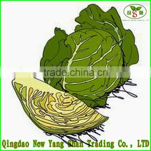 2015 Fresh Cabbages/Cabbage Exported to Southeast Asia, the Middle East thumbnail-1