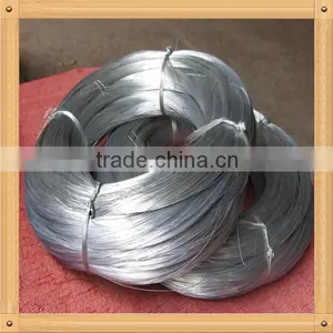 Welded Iron Mesh 50*50 thumbnail-2