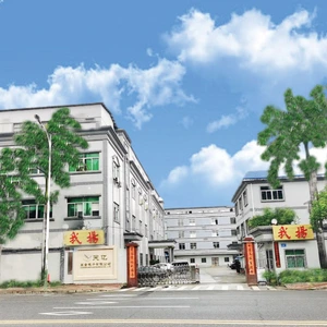 Dongguan I Am Flying Industry Co.,Ltd company overview - view 1 thumbnail