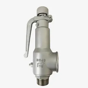 Spring Fully Open Safety Valve Stainless Steel High-temperature Steam Pressure Relief Valve thumbnail-2