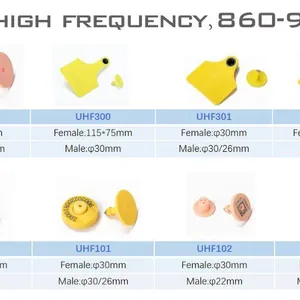 EID RFID FDX-B Available Ear Tag for Cattle 115*75mm Large Size Easy for Livestock Management thumbnail-5