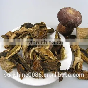 The Lower Market Price of Boletus Porcini Mushroom From Yunnan thumbnail-1