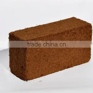 Coir Pith for Gerbera Plants thumbnail-1