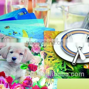 Cartoon 3d Lenticular Table Mats 2015 Good Looking With PET Material thumbnail-5