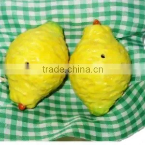 Ceramic Salt and Pepper Shaker thumbnail-5