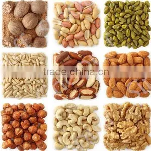 Peanut Paste Production Line/Macadamia Roaster Machine thumbnail-2