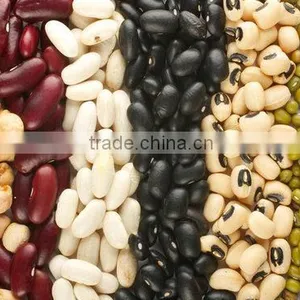 Kidney Beans ( White,Read,Black),Mung Beans. thumbnail-1