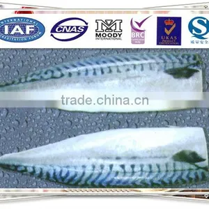 Frozen Mackerel Fillet thumbnail-1