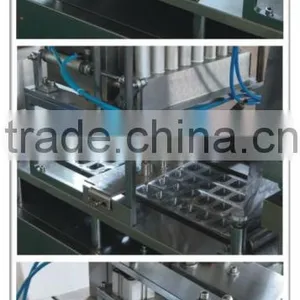 Blister Packing Machine DPP-350A thumbnail-5