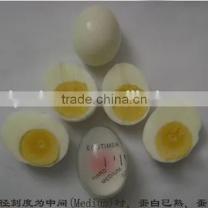Best Selling Egg Timer thumbnail-6