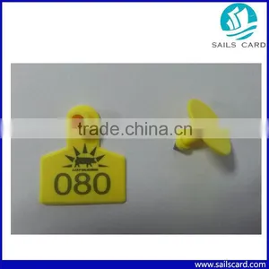 Visual Pig Ear Tag for Poultry Farms Management thumbnail-6