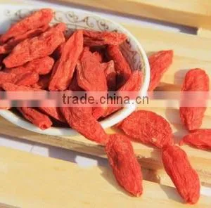 Hot Selling Goji Berry or Goji Berries thumbnail-3
