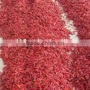 Dried Chilli thumbnail-1