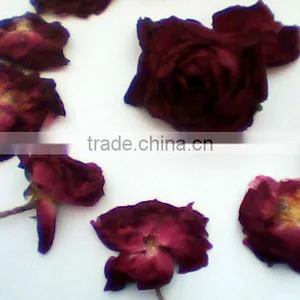 DRY ROSE thumbnail-1