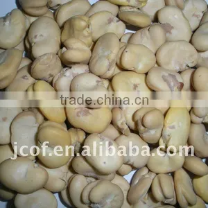 PEELED BROAD BEANS WHOLE GRAIN(656) thumbnail-1