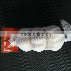 Fresh Garlic 2013 thumbnail-1