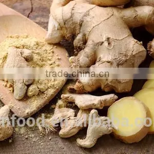Good Quality Dehydrated Ginger Slices thumbnail-4