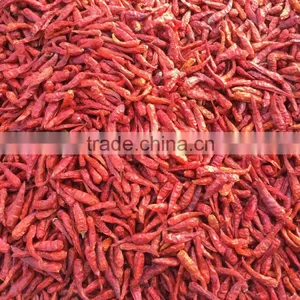 Dried Chilli thumbnail-1