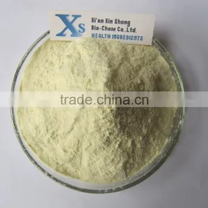 GMP Natural High Quality Chicory Extract Inulin thumbnail-1