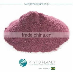 BLUEBERRY POWDER thumbnail-1