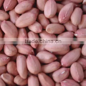 Chinese New Crop Raw Peanut Kernels thumbnail-1
