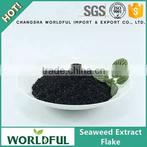 Worldful Supply 100% Natural and Organic Seaweed Extract Flake From China thumbnail-1