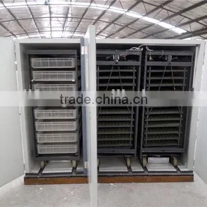 High Hatching Rate JF-12672 Chicken Poultry Farm Equipment thumbnail-1
