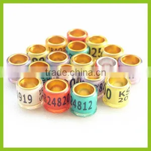 2015 Bands Pigeon Foot Rings Fancy Rings thumbnail-1